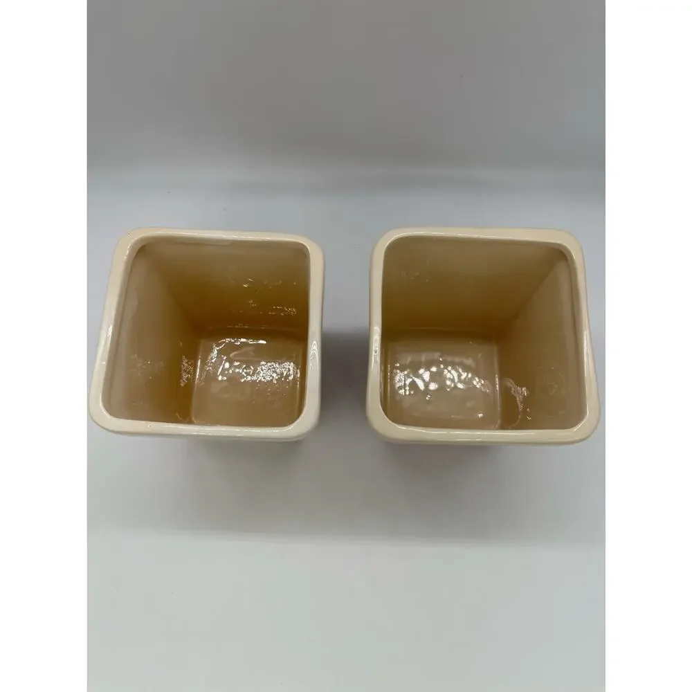 2 MSRF Inc Ceramic Popcorn Buckets